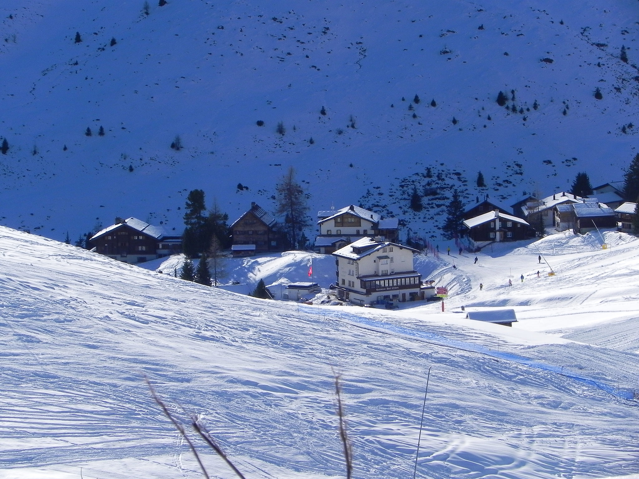 Arosa